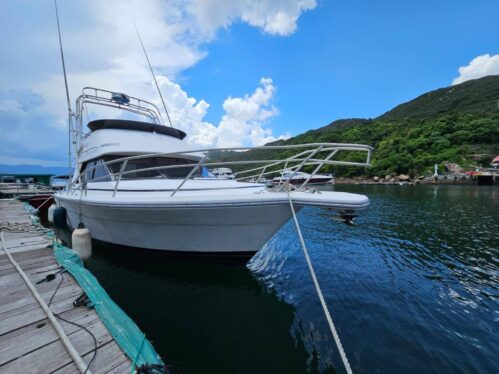 2002 33ft美國經典釣魚船 Phoenix SF33（附16人出租牌）