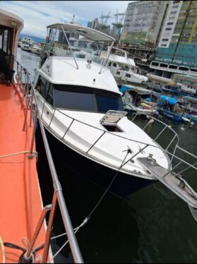 2007 33ft Bertram 33 經典釣魚游艇