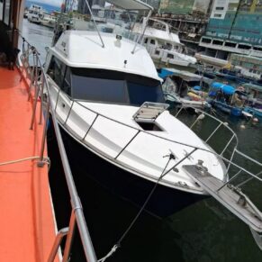 2007 33ft Bertram 33 Classic Fishing Yacht