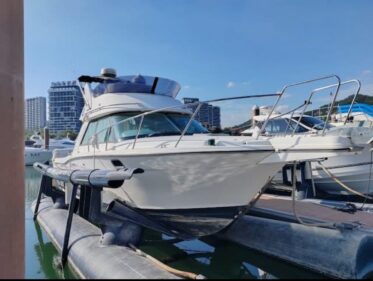 2010 27ft Nissan Marine Sun Cruise 27 FB日本尼桑经典钓鱼船 (en copy)