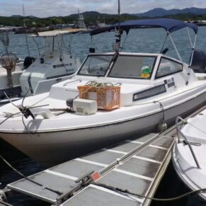32.3呎巡航遊艇 / 32.3ft Cruiser | 美國製造 / Made in USA
