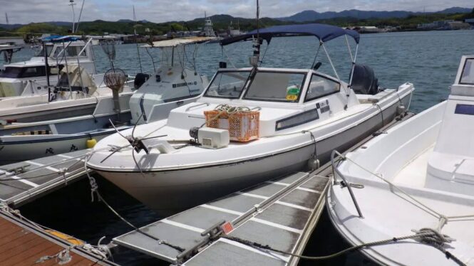 32.3呎巡航遊艇 / 32.3ft Cruiser | 美國製造 / Made in USA